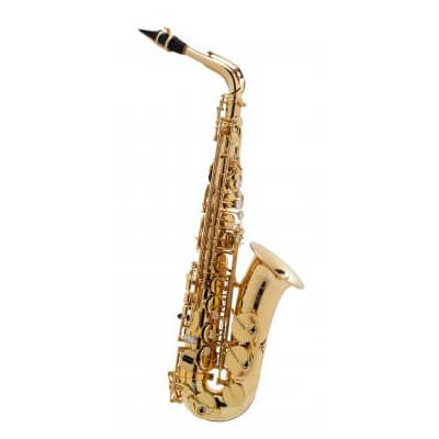 Saxophone pour musiciens avancés 2