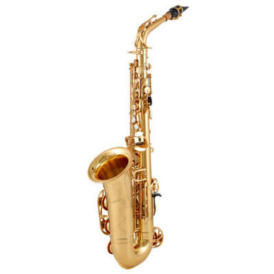 Saxophone pour musiciens avancés