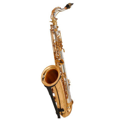 Saxophone pour les fous